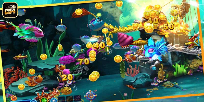 Chiến thuật chia pha bắn Rồng hợp lý